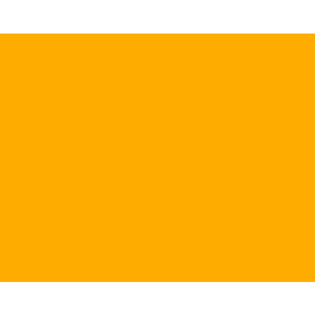 YELLOW NHF-S.png
